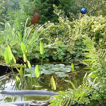 Altes Zollhaus Naehe Mullerthal Luxemburg 3* Ammeldingen an der Our