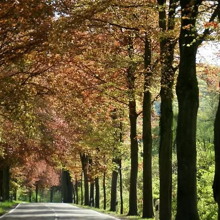Altes Zollhaus Naehe Mullerthal Luxemburg Ammeldingen an der Our