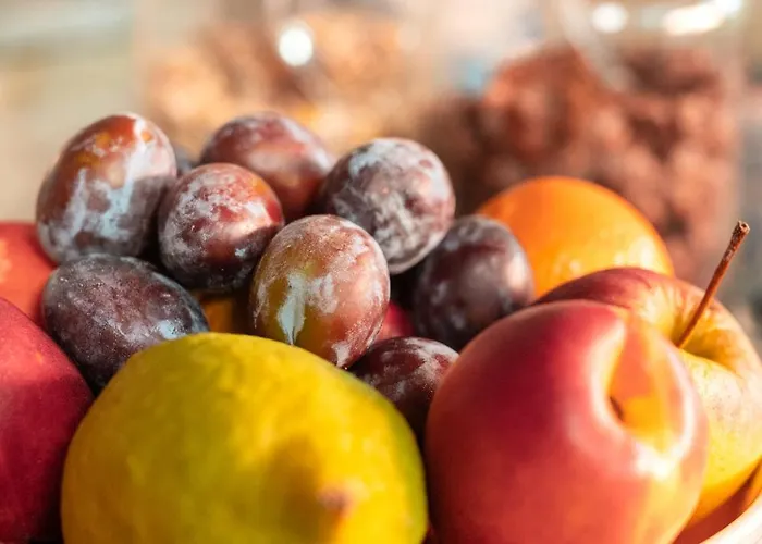 Altes Zollhaus Naehe Mullerthal Luxemburg Hotel