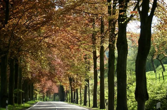 Altes Zollhaus Naehe Mullerthal Luxemburg Ammeldingen an der Our